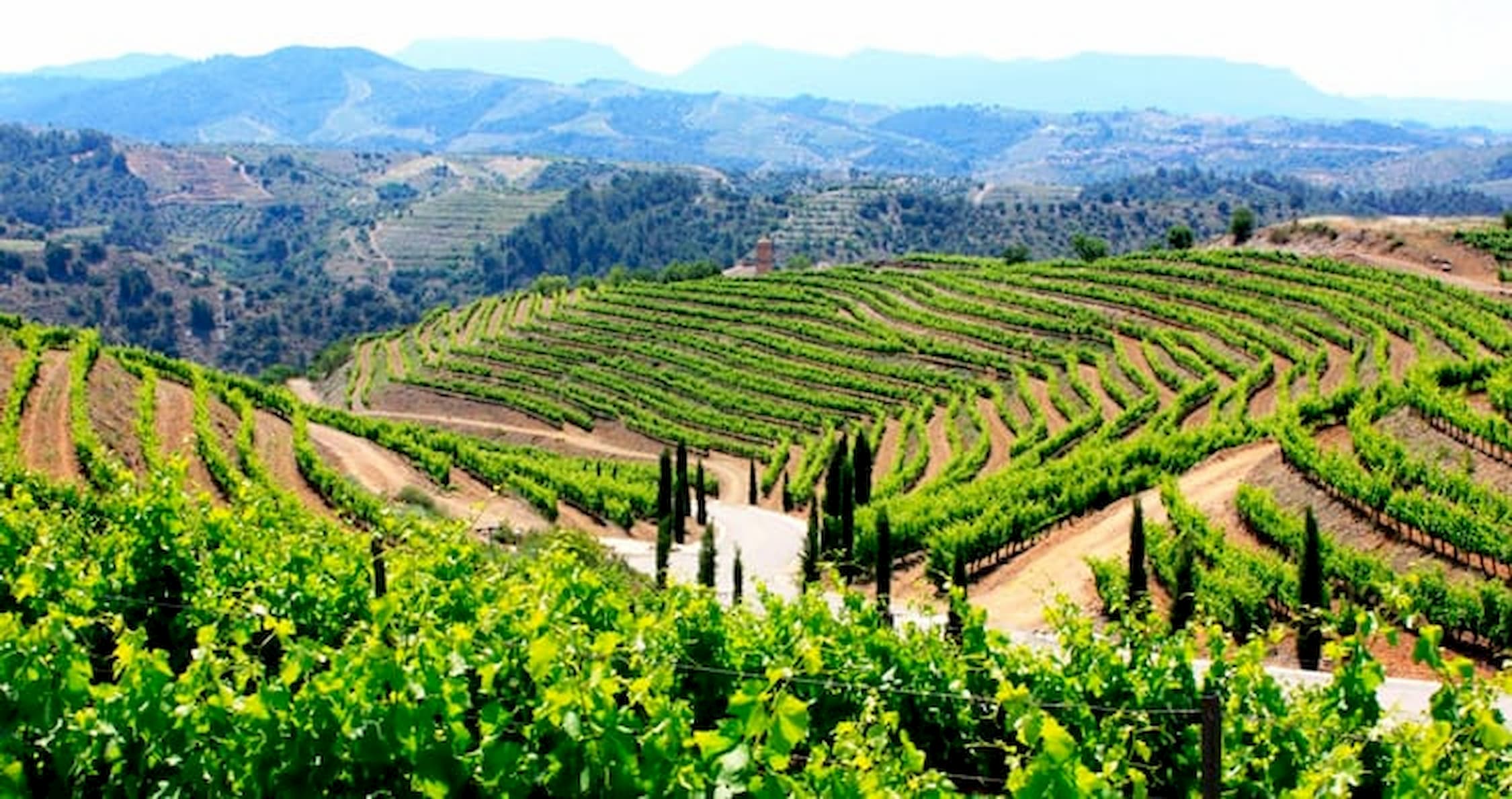do priorat